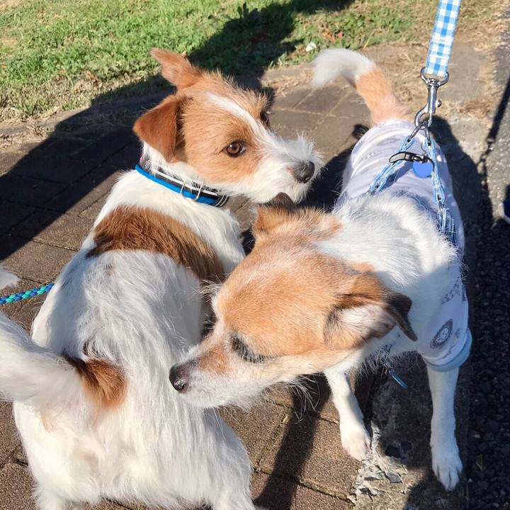 Bb0fa28b 21e0 4c1b adaf e29f7263bbc6 1605930302681