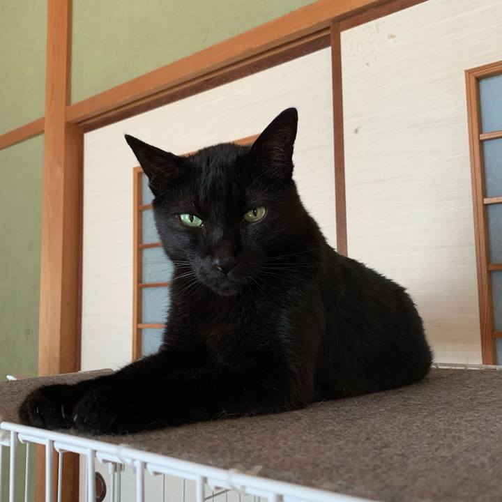 Bb102158 e7ea 4727 b199 f06237ab8f21 1596936106712