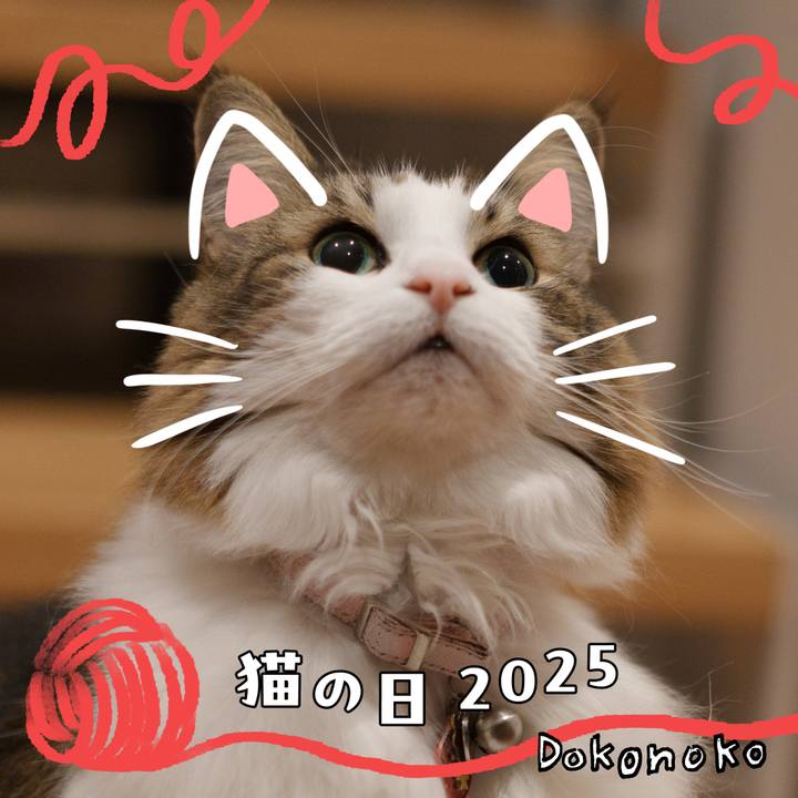 Bb103575 c4a9 4c5d 8e69 67914175fb5f 1740224060234