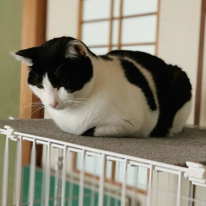 Bb10383f e172 4f86 b95a 622e922865e6 1548378924705