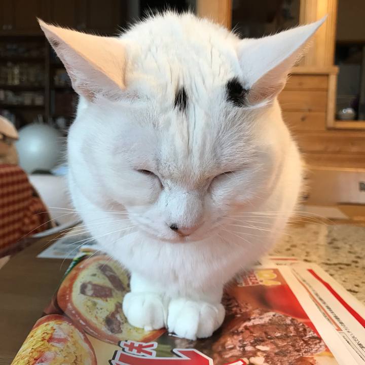 Bb104409 e0e6 4e15 8d8b 5b5db3405885 1634425406412