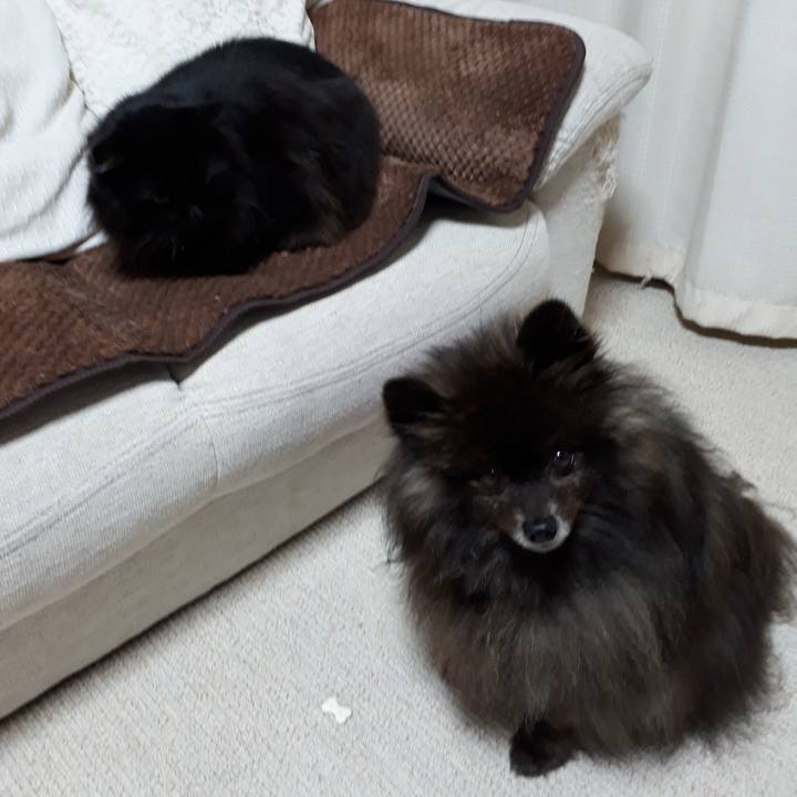 Bb104668 5dc7 48b2 ba5a d4d8967a2372 1518293158996