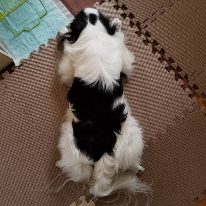 Bb1055ab b88f 4295 99f4 6b05fd9149aa 1551264111720