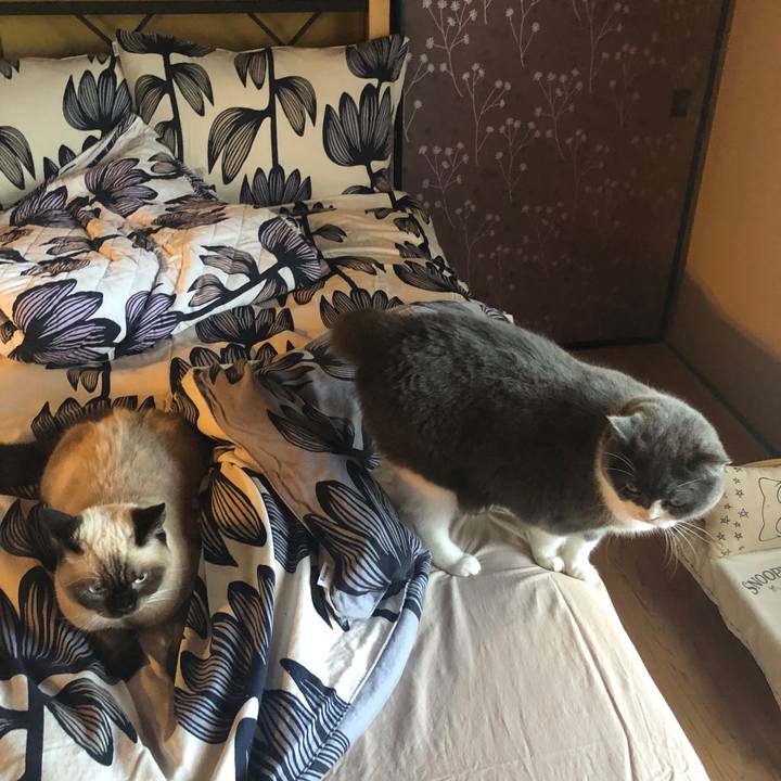 Bb10bb81 b200 4ede b57f d8a73d7d2789 1600038890525