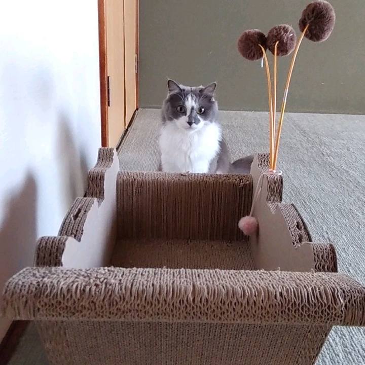 Bb10bdae fb48 4169 a5c5 7f2c65cd5931 1669262949977