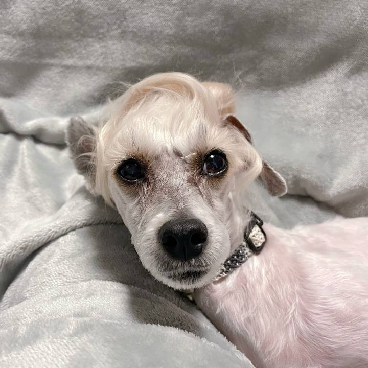 Bb10c03a e86f 4819 98aa 5b83f0056c1a 1768811382059