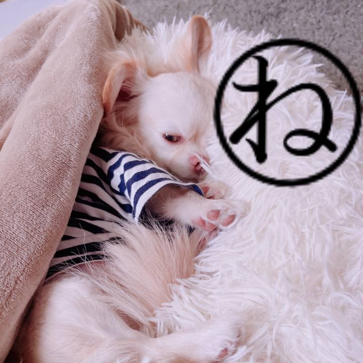 Bb1130d1 2c47 4cd4 9bbd 63985525bb5c 1679628460792