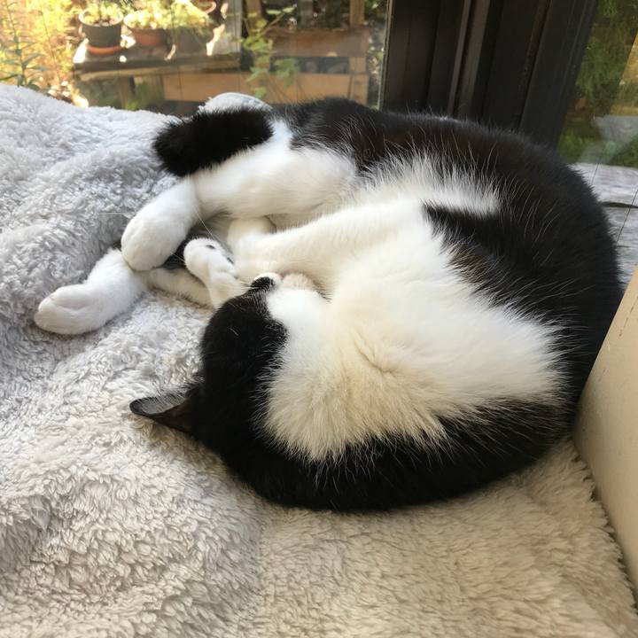 Bb117c8b 2fd0 4b1e 9e3b dbb03888c419 1510455994066