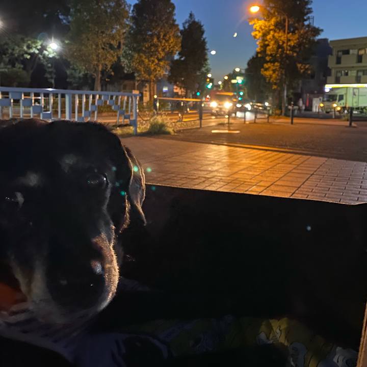 Bb11efa4 c05d 4e6c 8e89 ceae6b0d1b8d 1695120848240