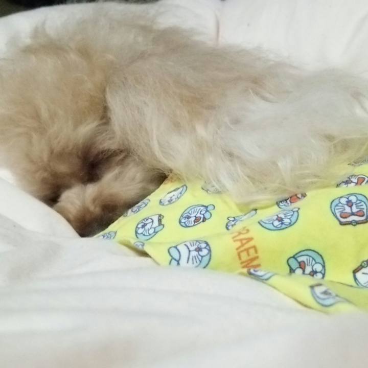 Bb11f3a5 8850 4084 a9a1 8fce27c10c46 1524489453708