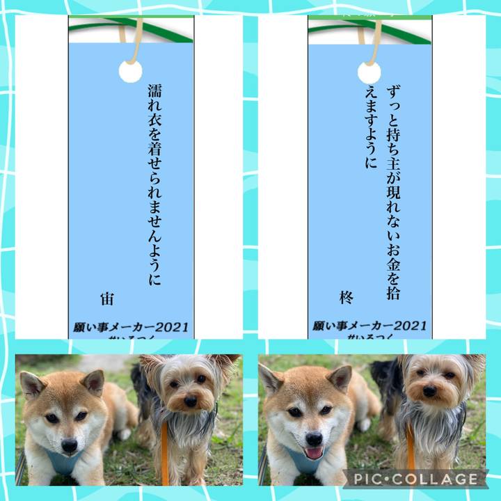Bb12102c a88e 4d31 878f 72b1d4702667 1625614950183