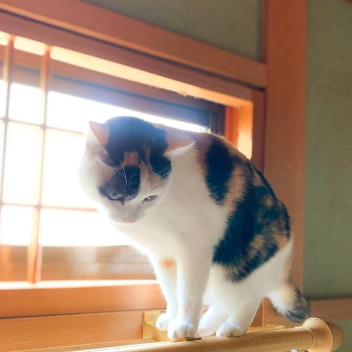 Bb121f33 649f 463a 9ae6 5e9fce20ac8d 1579398616572