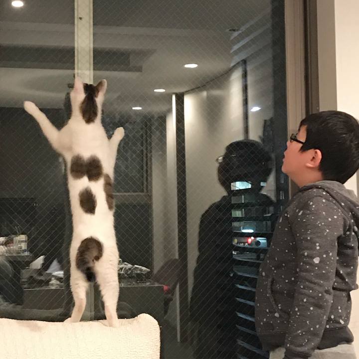 Bb123bde 07e8 4b90 98c6 e836f8d9a132 1511702140185