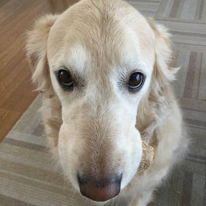 Bb1251c1 f604 4982 b18c b8bcb3e81257 1557180273805