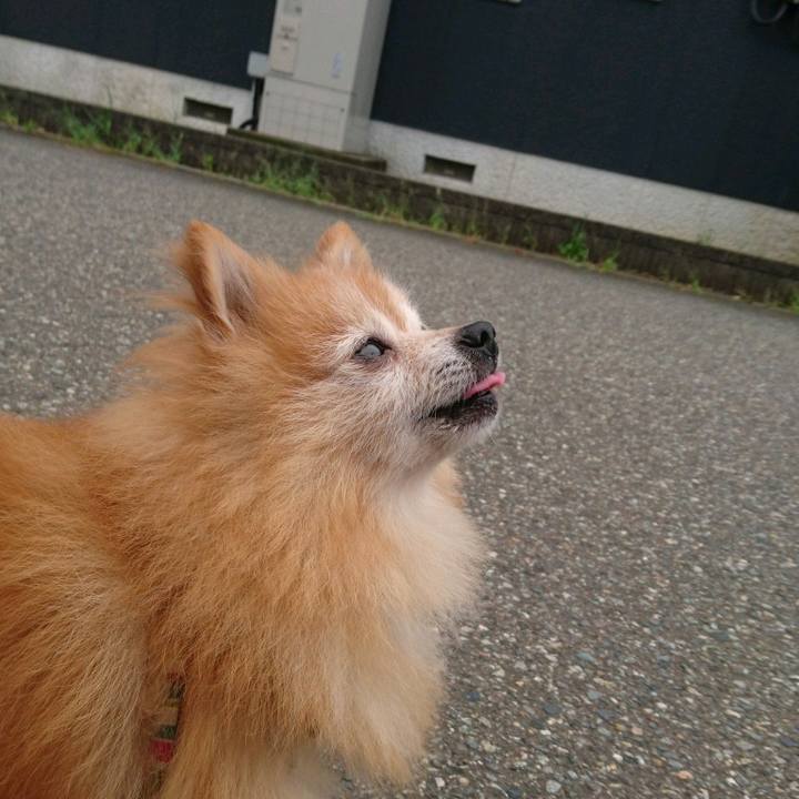 Bb1284bb 413a 4518 a0cd bc9f5873b363 1565994497727