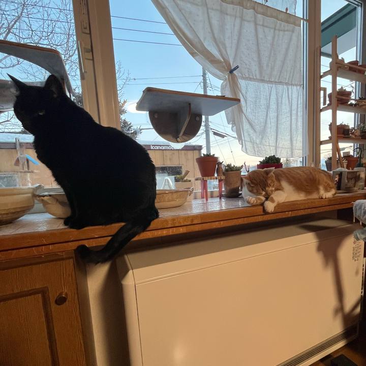 Bb128583 3f3c 4299 a152 8651f997e08a 1767250506600