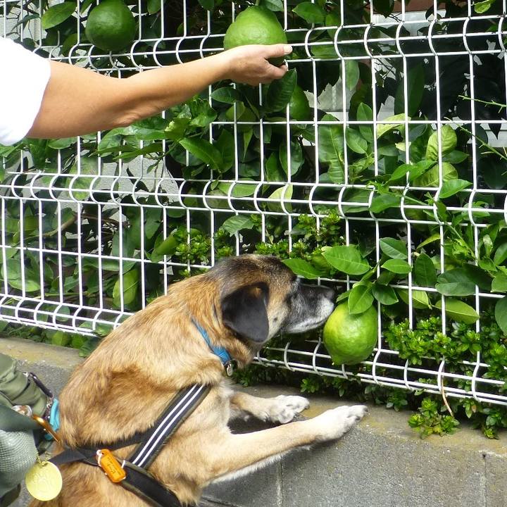 Bb12c736 3726 4301 8924 f4d773a34bf5 1579045587203