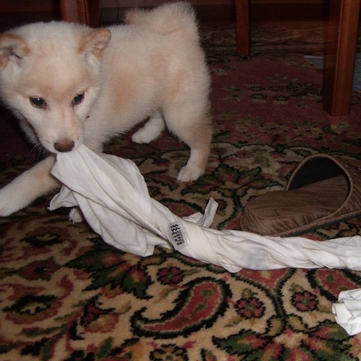 Bb12f7a5 e55f 4a14 93d0 3561c334f69c 1637592182343