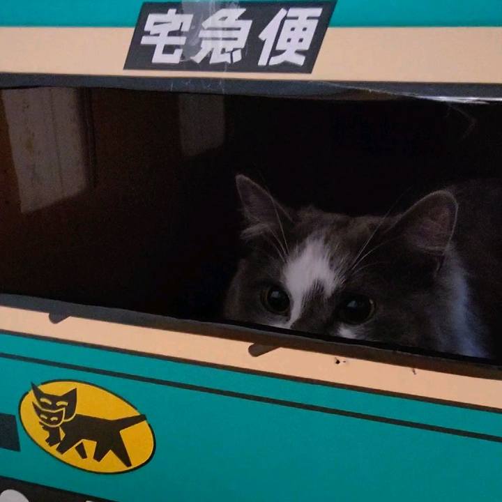 Bb13117c 05e8 430a 8849 5faf1ed29dc4 1588720856795