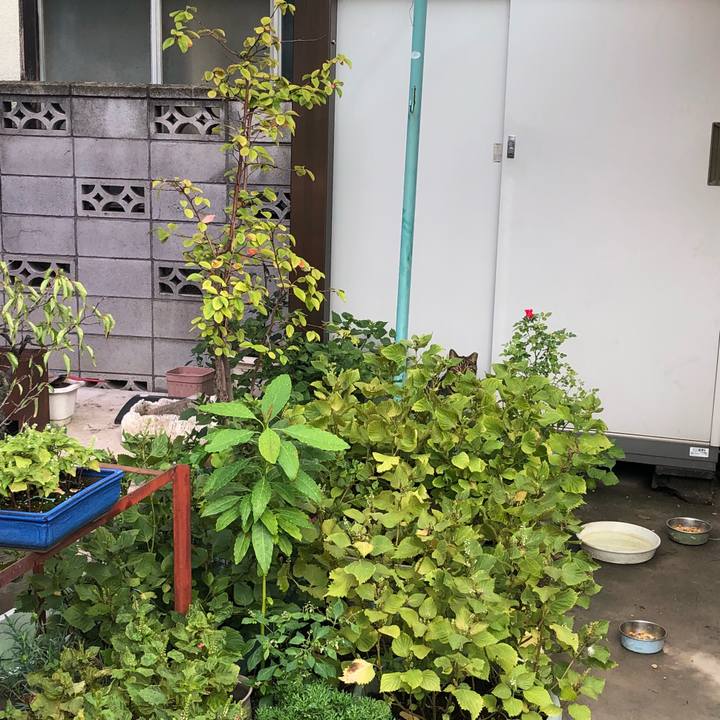 Bb13124f 0edf 4cf5 a7c4 610ebd8a1209 1537021958531