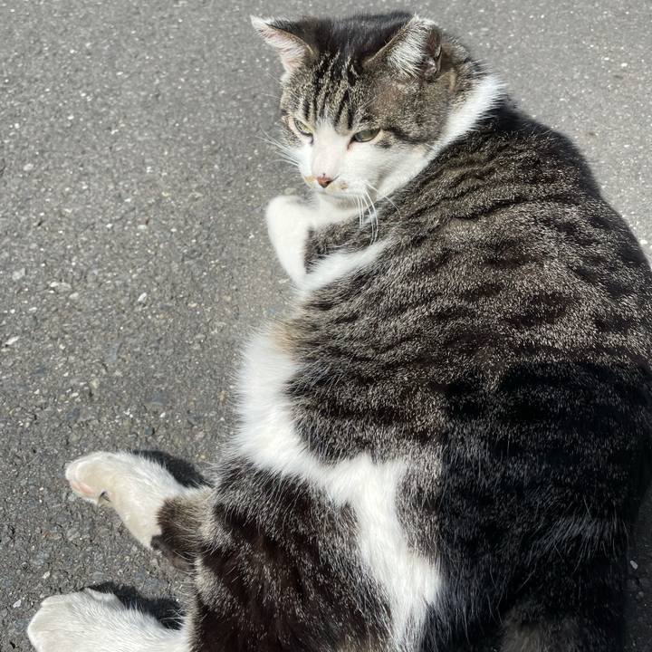 Bb132261 d560 4f7a a4b3 70475bcf5d2d 1614402210392