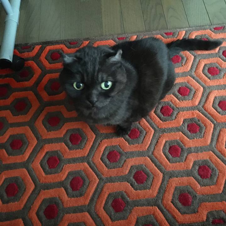 Bb133193 3c0a 456e 986d 9d6d2dab24a8 1578454129103