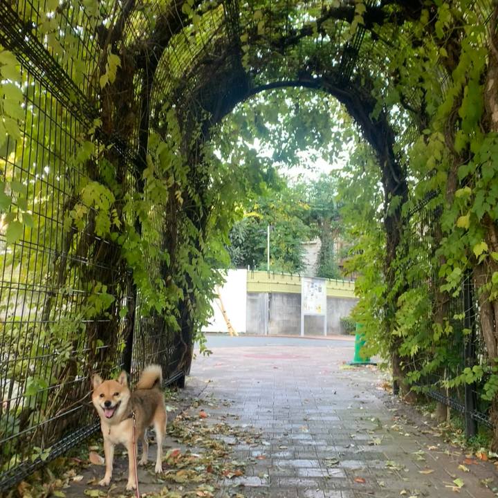 Bb1379e6 4b5b 4d63 a1b4 d60ba3b1b86d 1763362869224