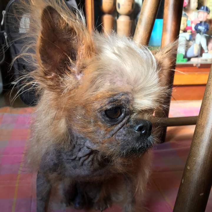 Bb1387e7 b27c 4f23 a635 737d98fd5592 1547425088785