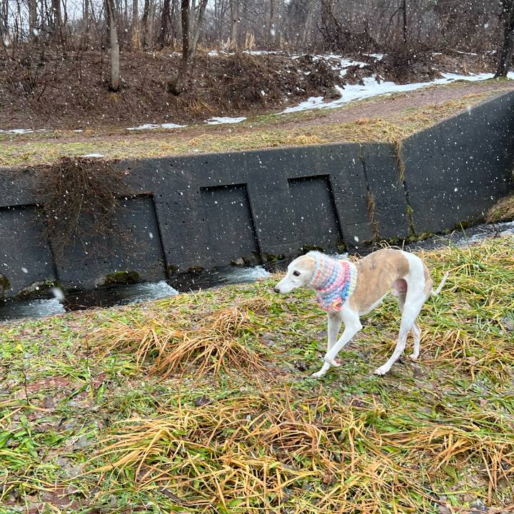 Bb13a801 1f1f 46f4 806d d88b4343f607 1766650119219