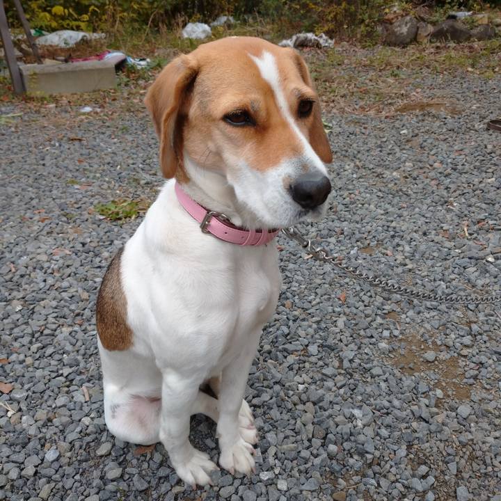 Bb13bcdd a7af 4c17 9651 a9c0782e4ab8 1577084302617