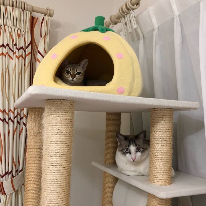 Bb13d564 0906 4f50 8ab6 59c24e92a8e6 1549193097692