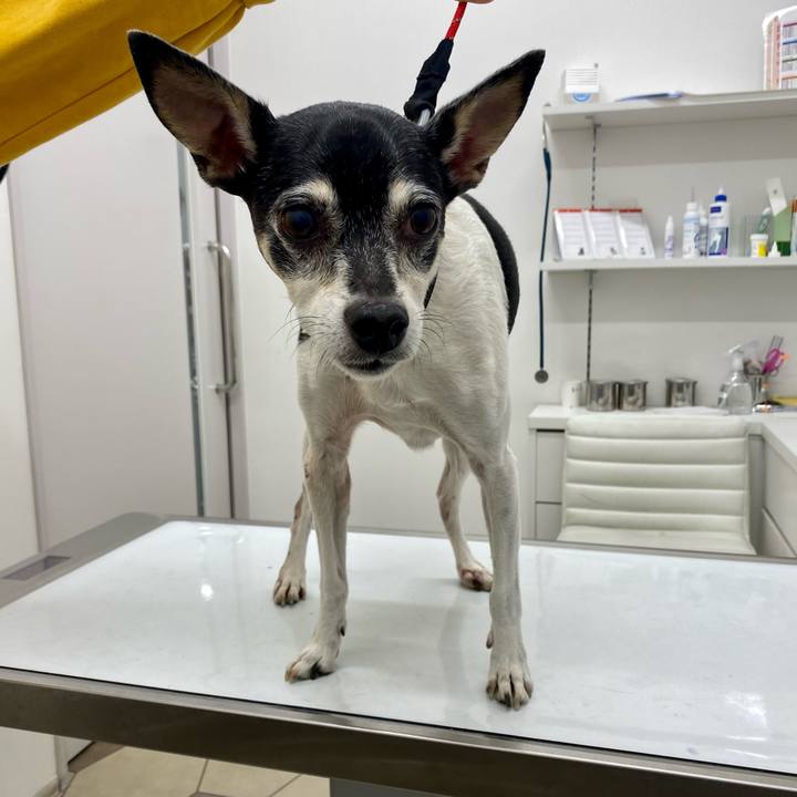 Bb13ddcf d314 4bf4 9913 163bfab09e49 1619242453992