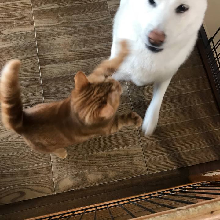 Bb13f007 6986 4606 82aa 36d1186e65e7 1515653796664