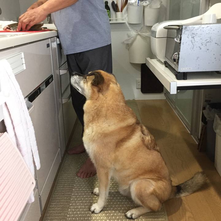 Bb143aea a819 48f7 a781 4058100efa12 1563965375537