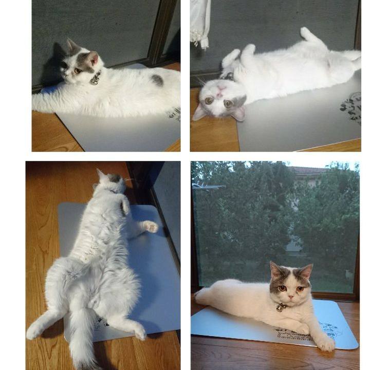 Bb1453d4 7e3a 4436 aee1 b7cdb88ecc57 1565518033872