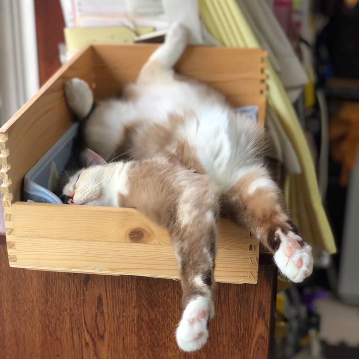 Bb145f54 55fd 407a 84c7 3987ad3791cc 1673877934260