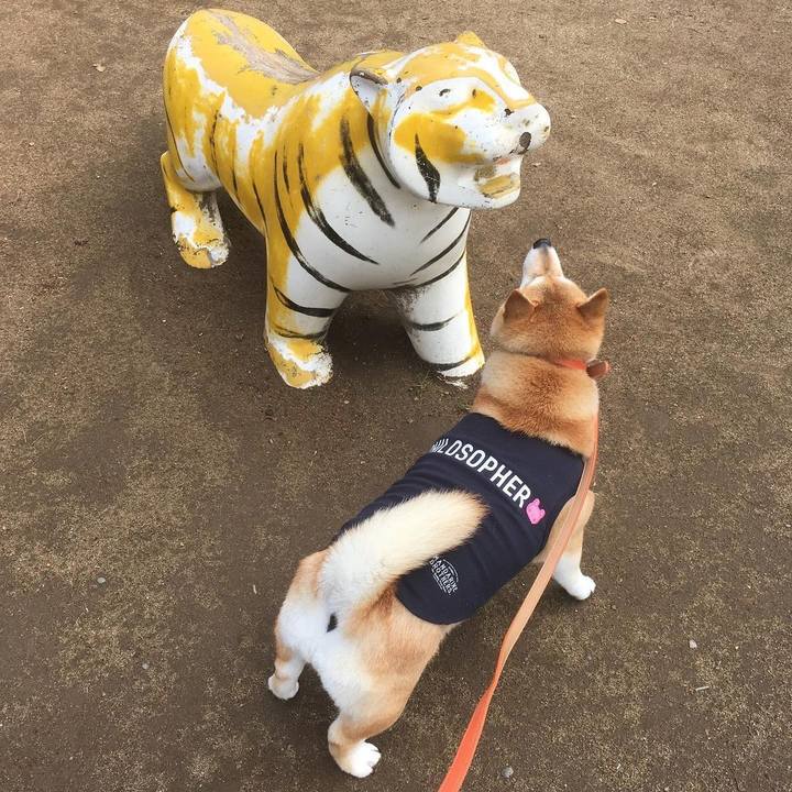 Bb149bde cf76 47e0 a545 de39ae1641fe 1614986591543