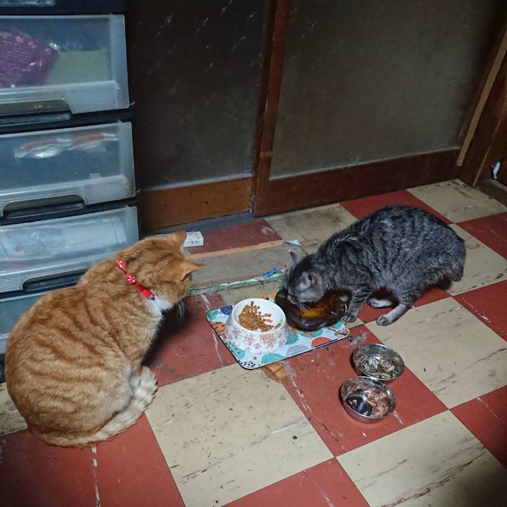 Bb14a87d 5f98 4ada 9c39 d09922e19b9f 1577392943694