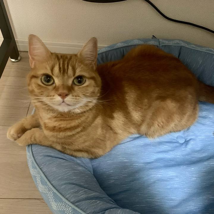 Bb14c906 9cf9 4baf b95a a0007a90cddd 1629086107036