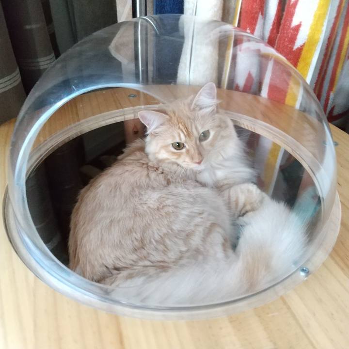 Bb150900 e977 4c69 934b 65c6925f9d5d 1628298010723