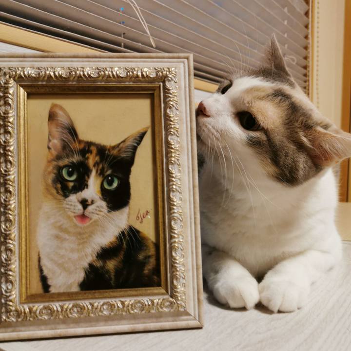 Bb151a42 341b 4985 8496 d88fde394c44 1659585003863