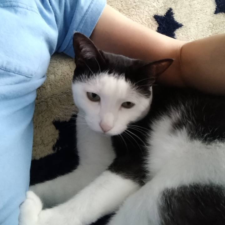 Bb154360 f9de 4f38 9459 f92fd87594ed 1595224061561