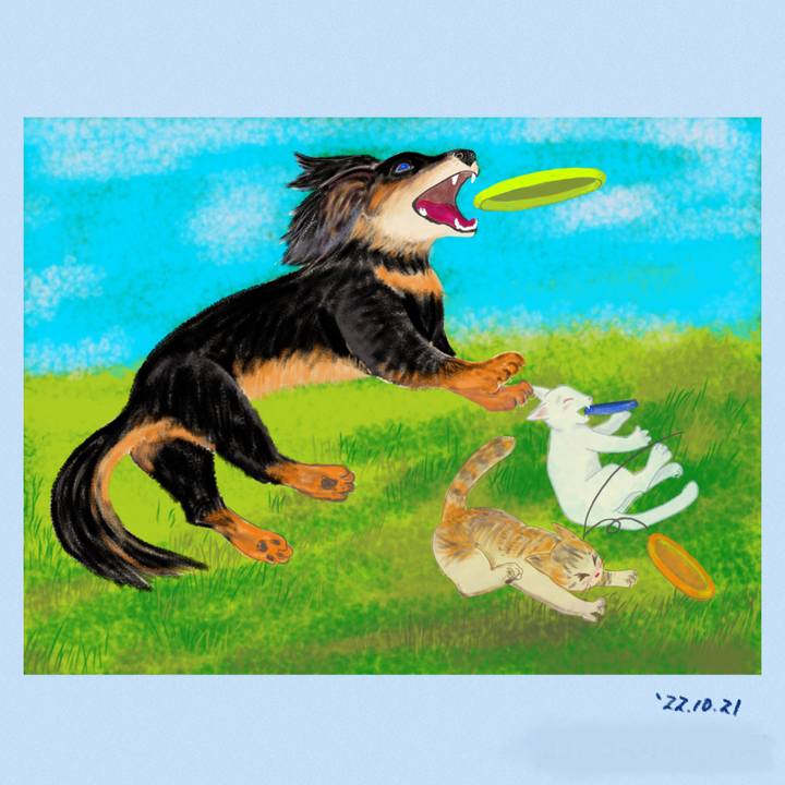 Bb1565cc ae1d 4e58 ac1d 9166e3bfb791 1666354629075