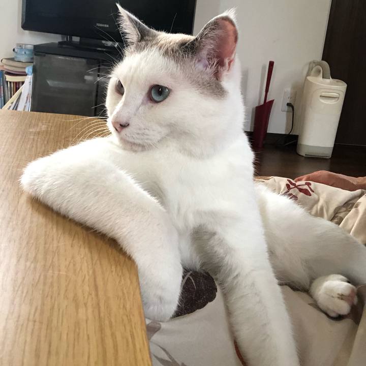 Bb1567dd a8dd 4109 8d59 d3a09a2e0b1c 1570849332517