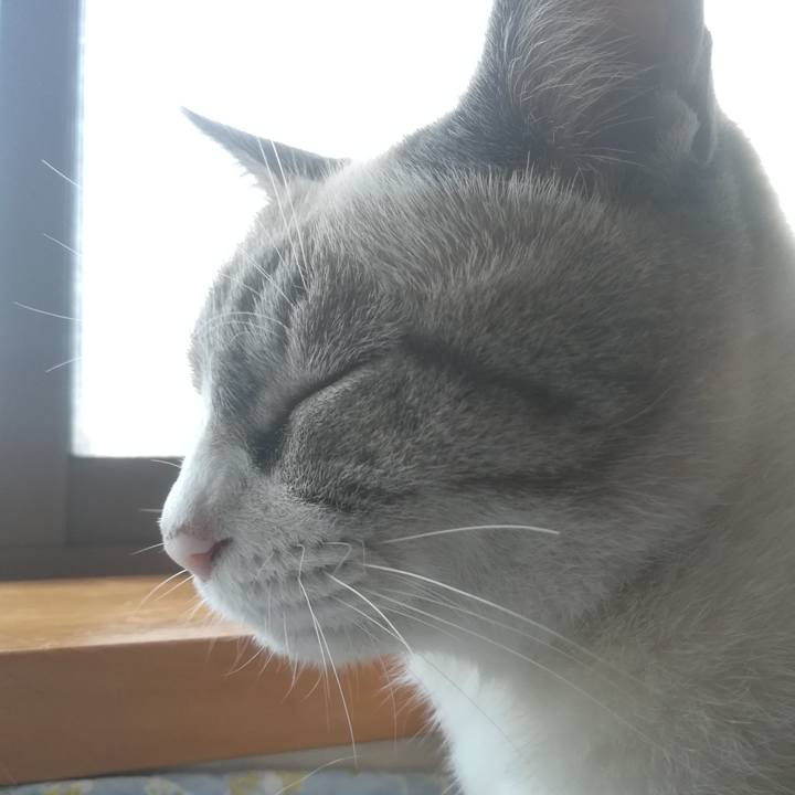 Bb1581a2 5b2b 4384 a503 001f708b2317 1601626012028