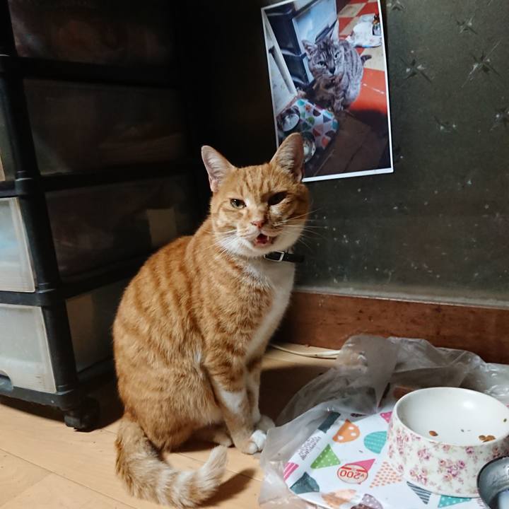 Bb15ded1 35f6 43bf 825b a42b025d2ed3 1602492733077