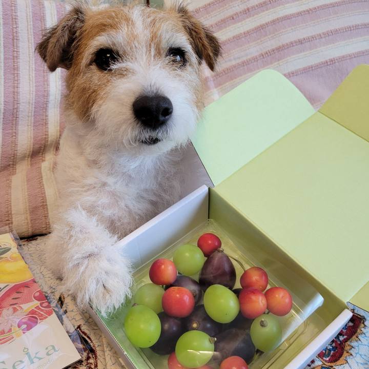 Bb160101 a4e1 40d1 9701 5b12f6e4a9b0 1750993101382