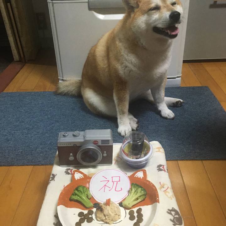 Bb160ca5 a4b2 4b4a b180 578d9aef1388 1596196575019