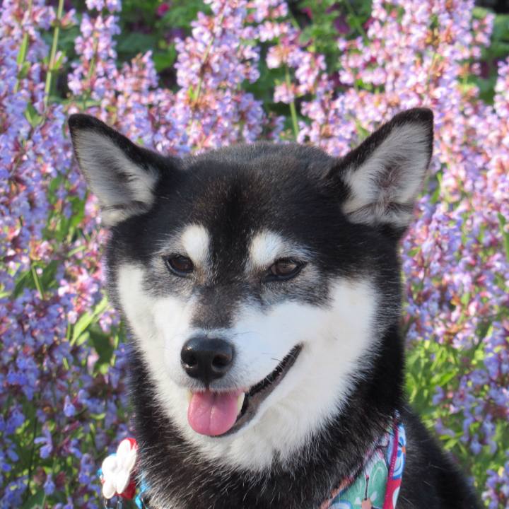 Bb164dd3 ab44 40e4 b6ba ac54e3abee6c 1590836838278