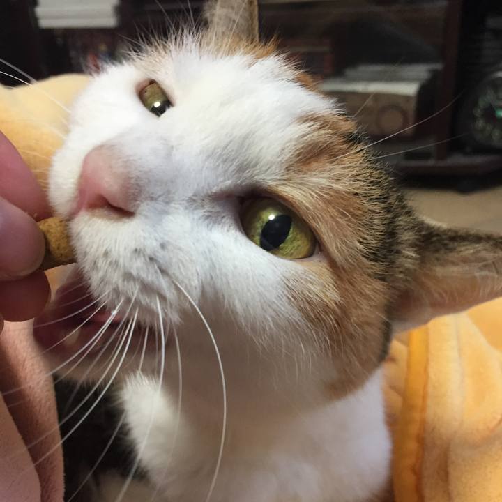 Bb165568 4fef 4446 99e3 f2cb8bc098cc 1513492099011